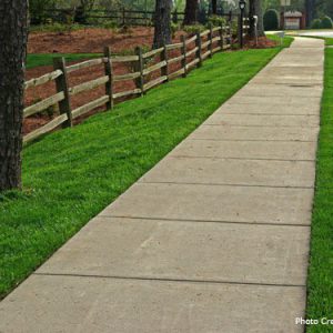 sidewalk and trees