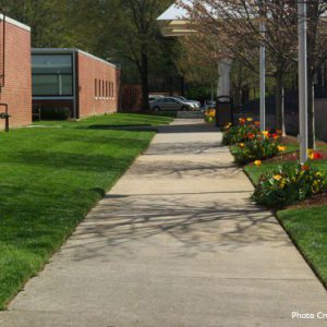 sidewalk and flowers