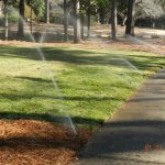 sprinklers watering grass