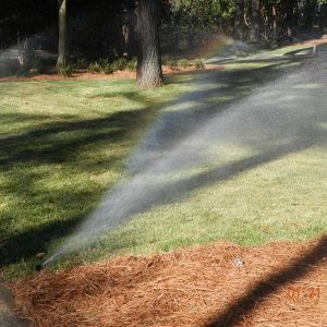 sprinkler watering grass