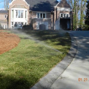 grass and pinestraw getting watered