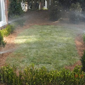 grass being watered