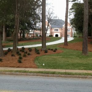 green grass and driveway