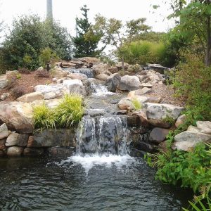 water fall with pond