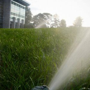 sprinkler watering grass