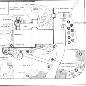 landscape design drawing