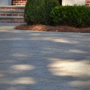 brick patio and shrub