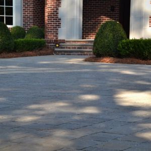 brick patio and shrubs