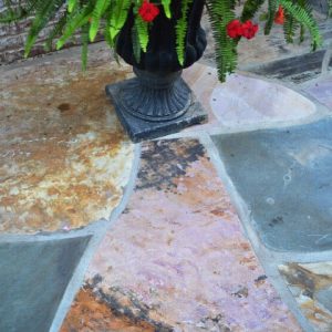 stone floor with plant