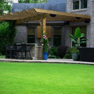 green grass and pergola