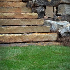 stone stairs and grass