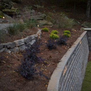 brick wall with shrubs