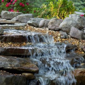 waterfall and flowers