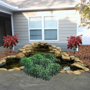 pond with rocks and shrubs